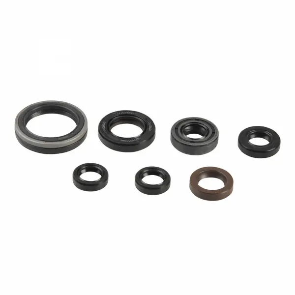 ATHENA sada motorového těsnění GAS GAS EC 250F 4T, 300F 4T 13-15, YAMAHA WR 250 F 01-13, YZ 250 F 01-13 (B0088OFACS, 822175) (ATHENA sada motorového)