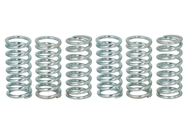 TRW MOTO spojková pružina - sada APRILIA ETV 1000 (CAPO NORD) 01-08, MOTO 650 95-00, PEGASO 650 IE (GARDA), IE 93-04, RST 1000 (MILLE FUTURA) 01-04,