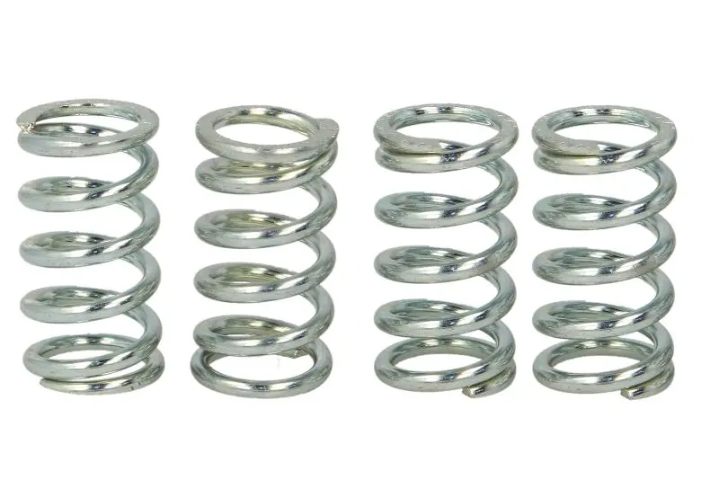 TRW MOTO spojková pružina - sada CCM DS 644 04-06, HONDA CB 125J, 500T (TWIN), 250G 74-81, CR 250R, 85R 81-08, CRM 125 (ITALLY) 90-99, MTX 200RW, 125R