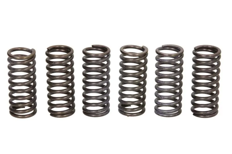 TRW ZF spojkové pružiny DUCATI MONSTER 620 / 696 / 800 05-14, SCRAMBLER 800 15- ( )