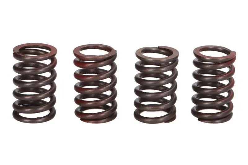 TRW MOTO spojková pružina - sada KTM DUKE 690 ABS, R 08-15, ENDURO 690 R, R ABS 08-16, SM 690 R 07-10, SMC 690 R ABS, R 07-16 ( )