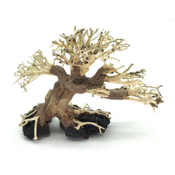 Bonsai Driftwood 20 x 15 x 16 cm č. 28