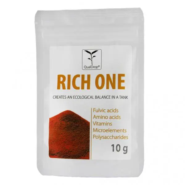 Rich One před startem nového akvária 10 g