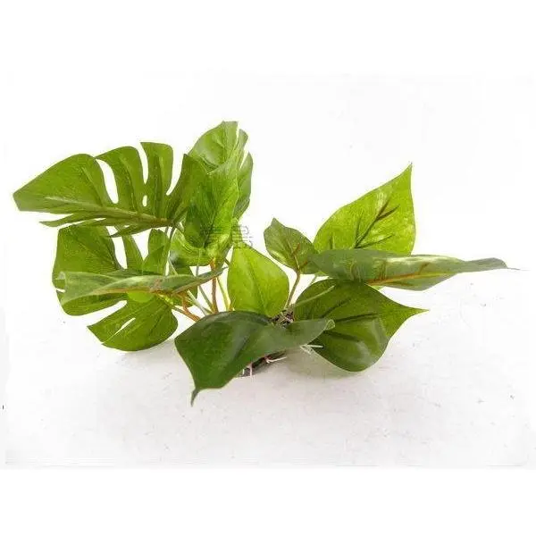 UP Aqua plastová akvarijní rostlina Anubias 1215