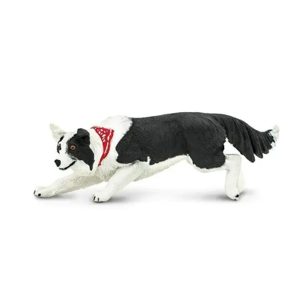 Safari® Border kolie