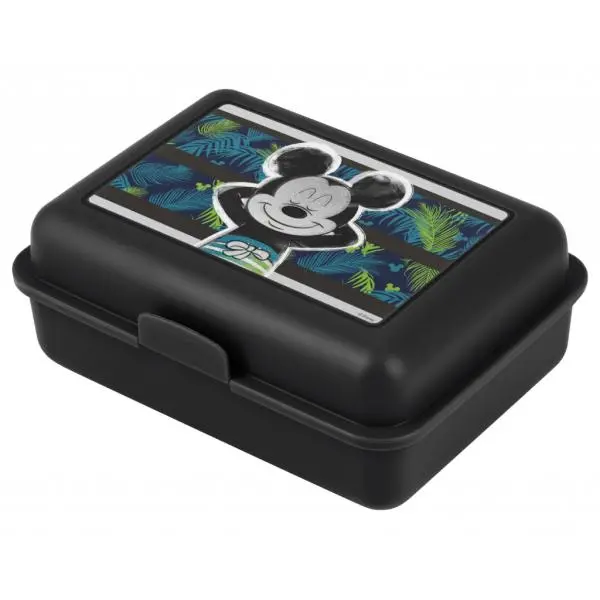 BAAGL Box na svačinu Mickey