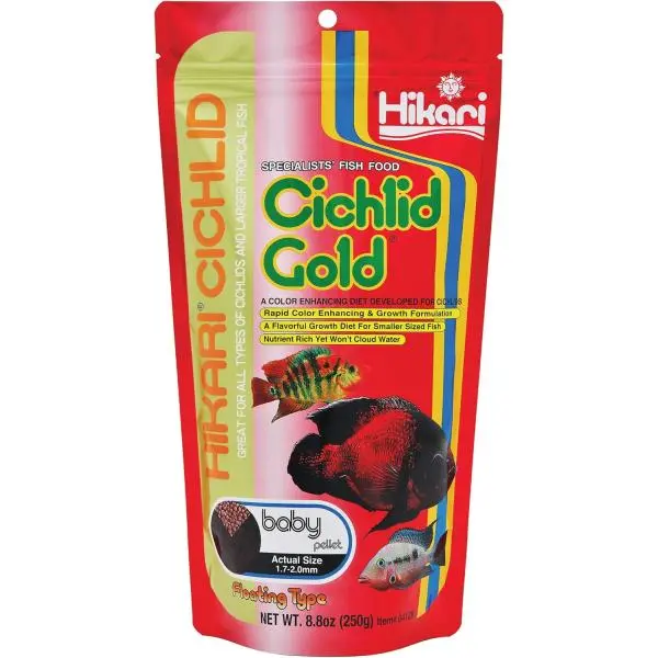 HIKARI Krmivo Cichlid Gold Baby 250 g