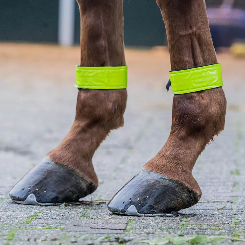 Reflexní návleky na nohy koně Horka – pár