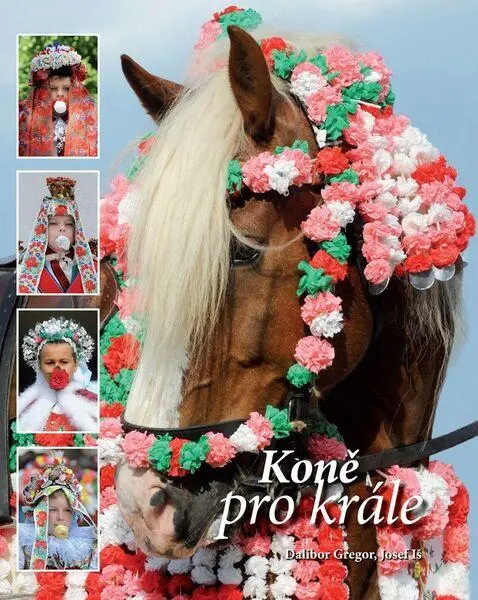 Koně pro krále - Dalibor Gregor