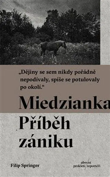 Miedzianka - Příběh zániku - Filip Springer