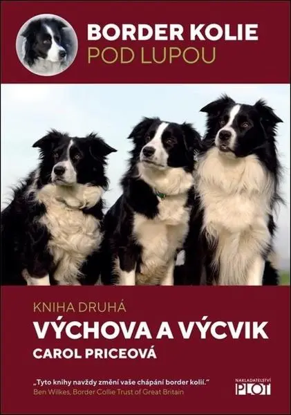 Border kolie pod lupou 2 - Výchova a výcvik