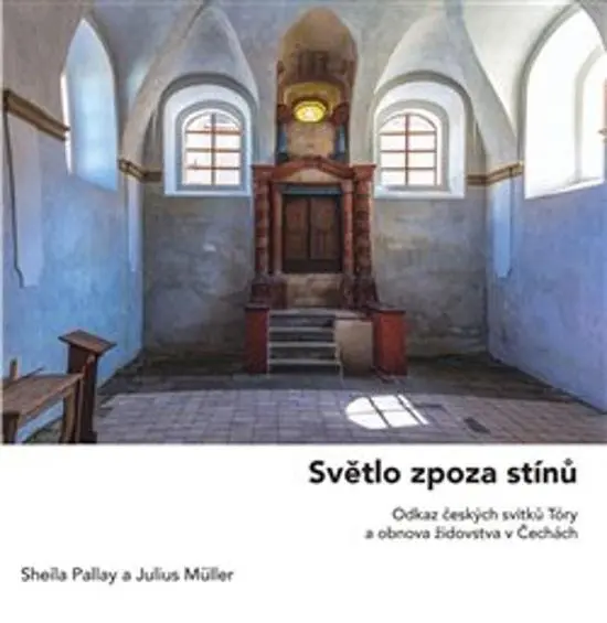Světlo zpoza stínů - Julius Müller