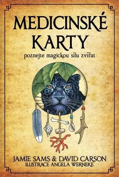 Medicinské karty - Poznejte magickou sílu zvířat - Kniha + 52 karet - David Carson