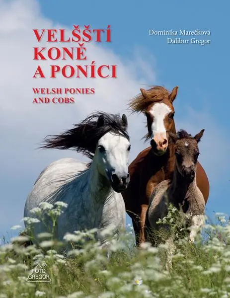 Velšští koně a poníci / Welsh Ponies and Cobs - Dalibor Gregor