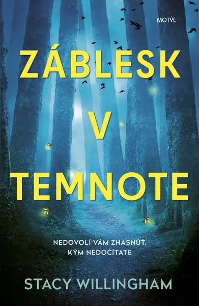 Záblesk v temnote (Stacy Willingham, 2022)