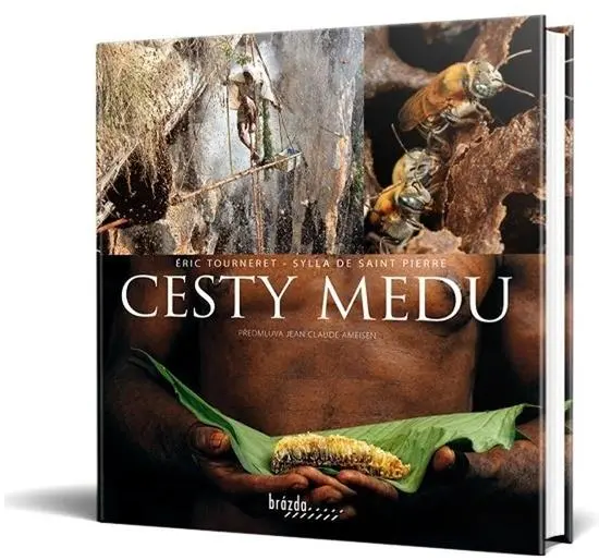 Cesty medu