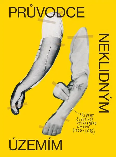Průvodce neklidným územím - Příběhy českého výtvarného umění (1900–2015) - David Böhm
