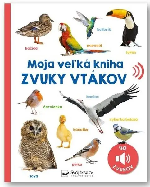Moja veľká kniha (, 2024)