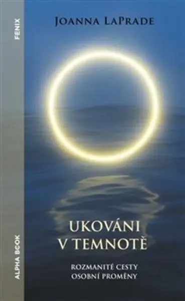 Duchovní cvičení v běžném životě - Joanna LaPrade