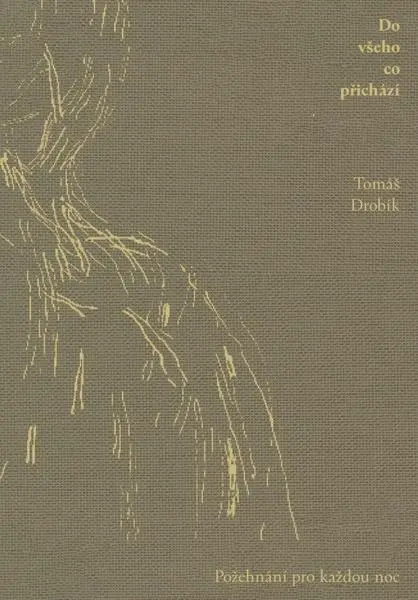 Do všeho co přichází - Tomáš Drobík