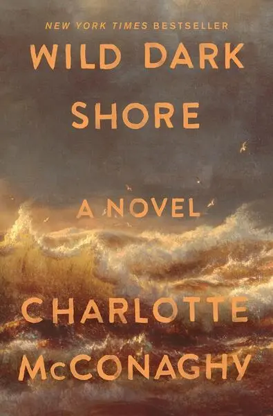 Wild Dark Shore
