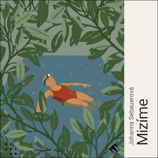 CD Mizíme (audiokniha) - Johanna Sebauerová