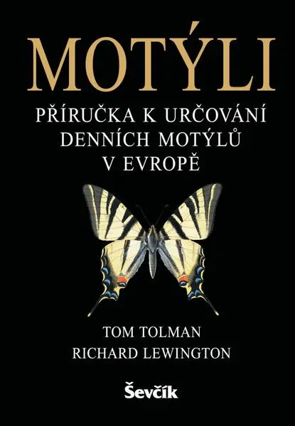 Motýli