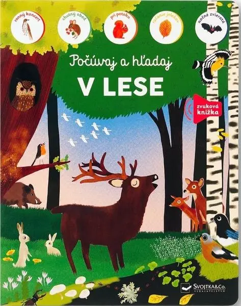 Počúvaj a hľadaj V lese