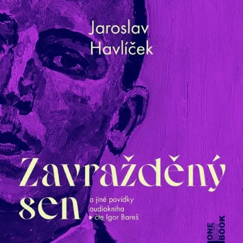 CD Zavražděný sen a jiné povídky (Čte Igor Bareš) (audiokniha) - Jaroslav Havlíček