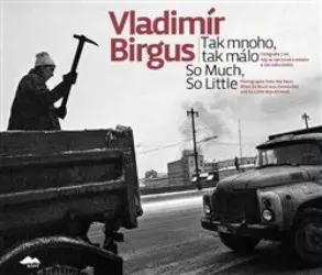 Tak mnoho, tak málo | BIRGUS, Vladimír