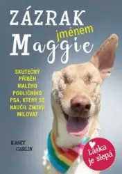 Zázrak jménem Maggie | CARLIN, Kasey