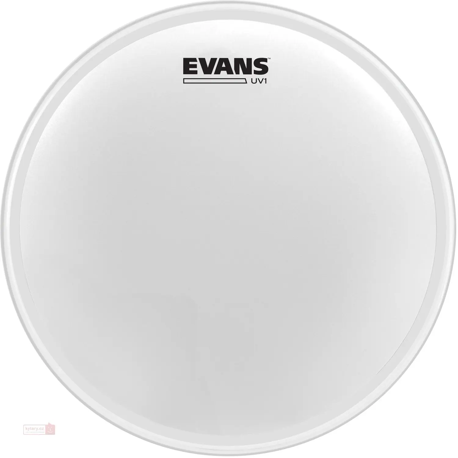 Evans 13" UV1 Coated