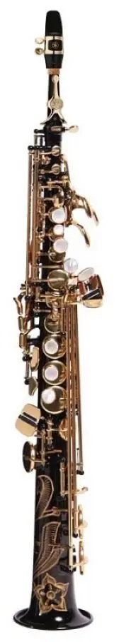 Yamaha YSS-875EXB