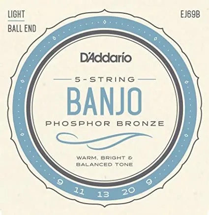 D'Addario EJ69B