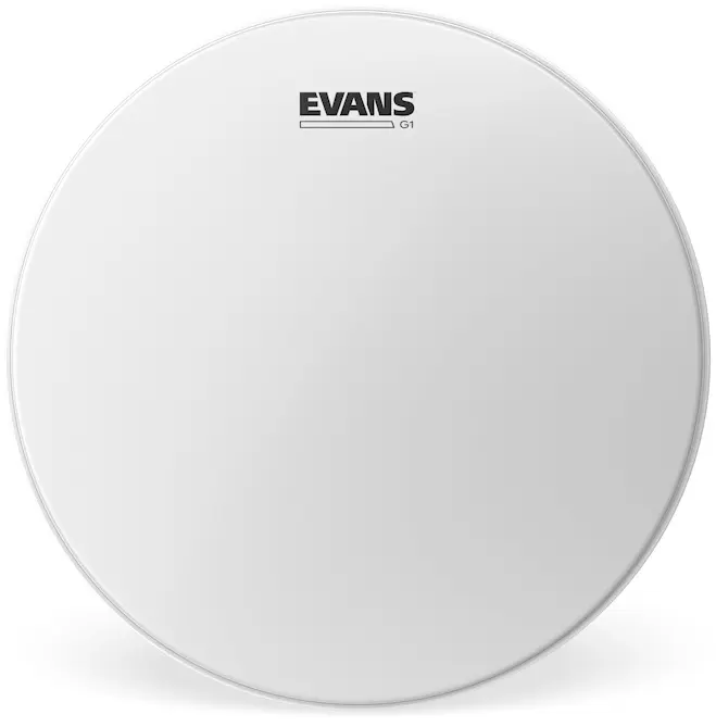 Evans 14" Genera G1 Coated