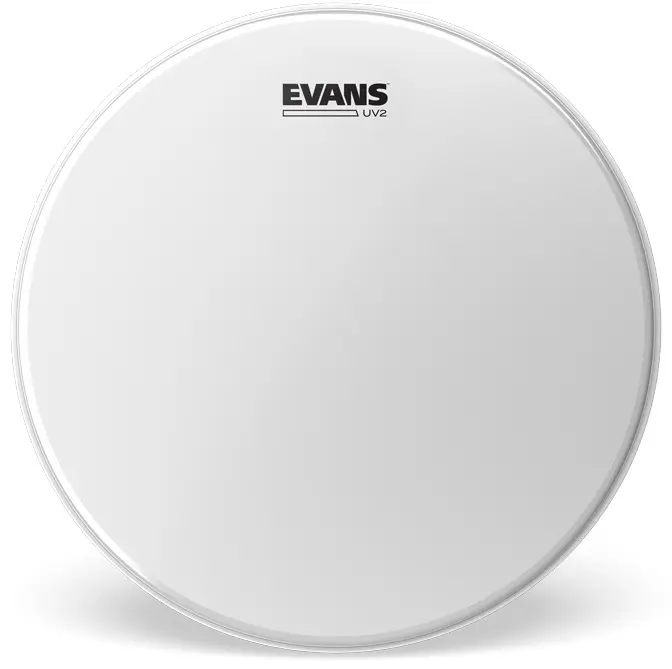 Evans 18" UV2