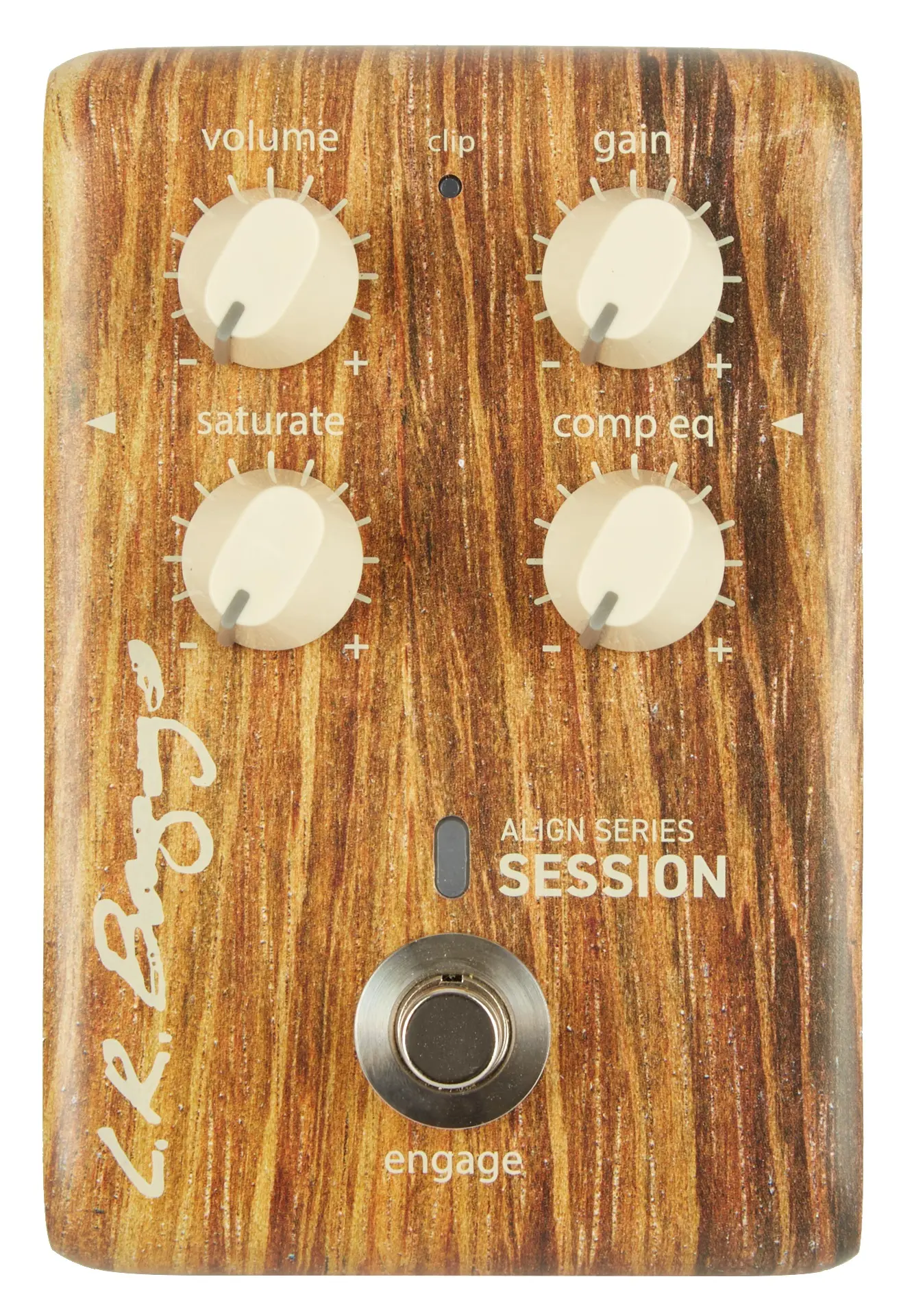 L.R. Baggs Align Session