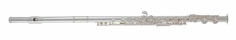 Roy Benson FL-602E