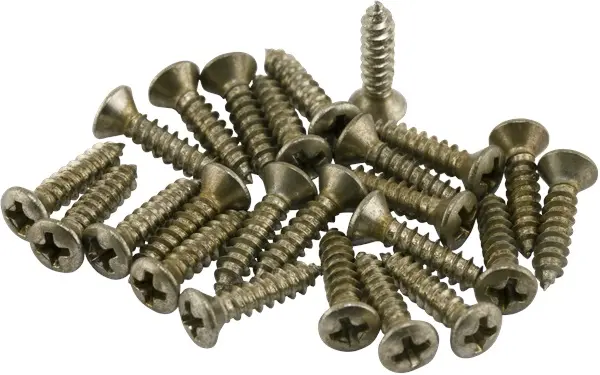 Fender Road Worn Control Plate Screws