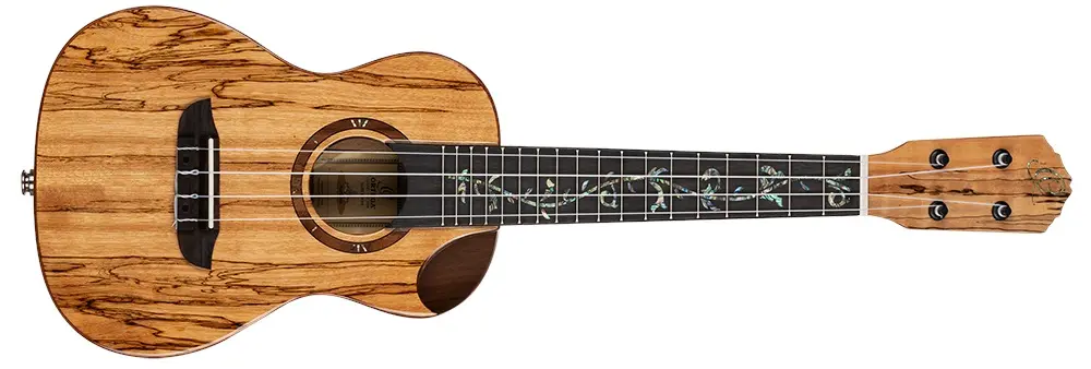 Ortega RUET-SMA