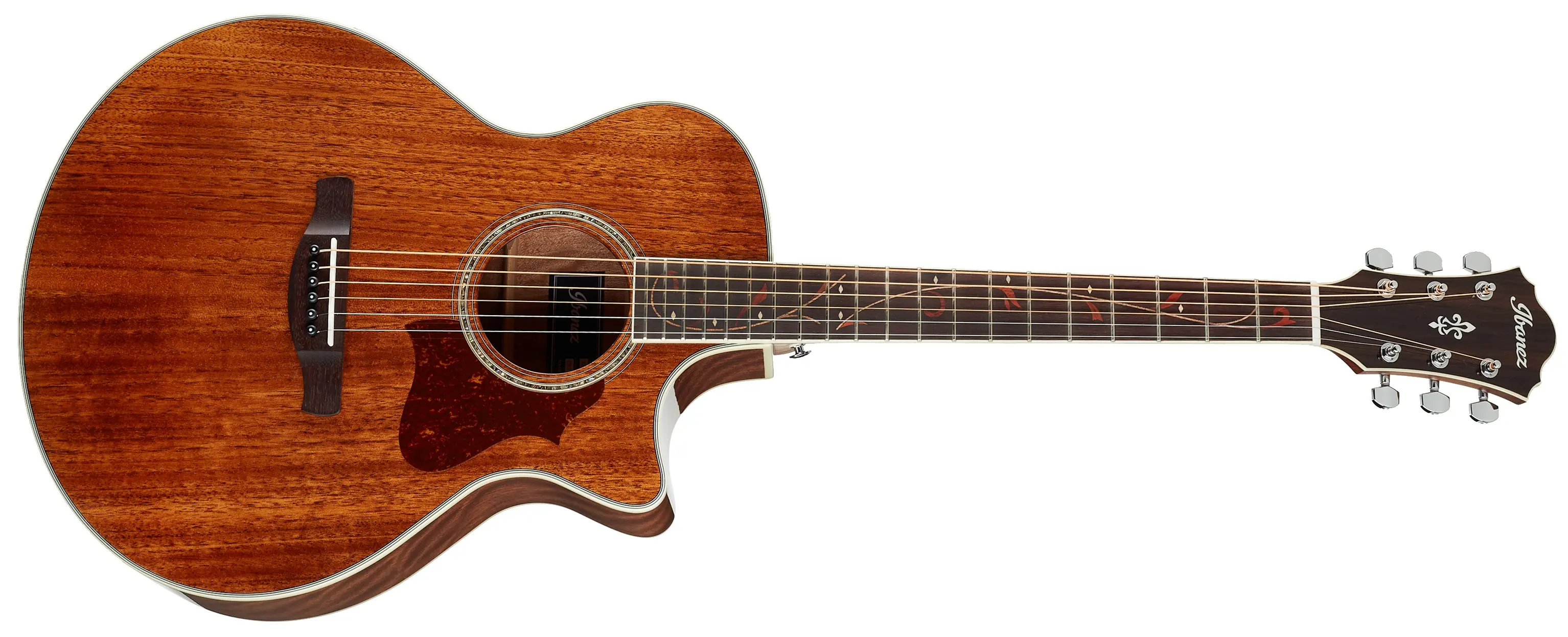 Ibanez AE245 Natural
