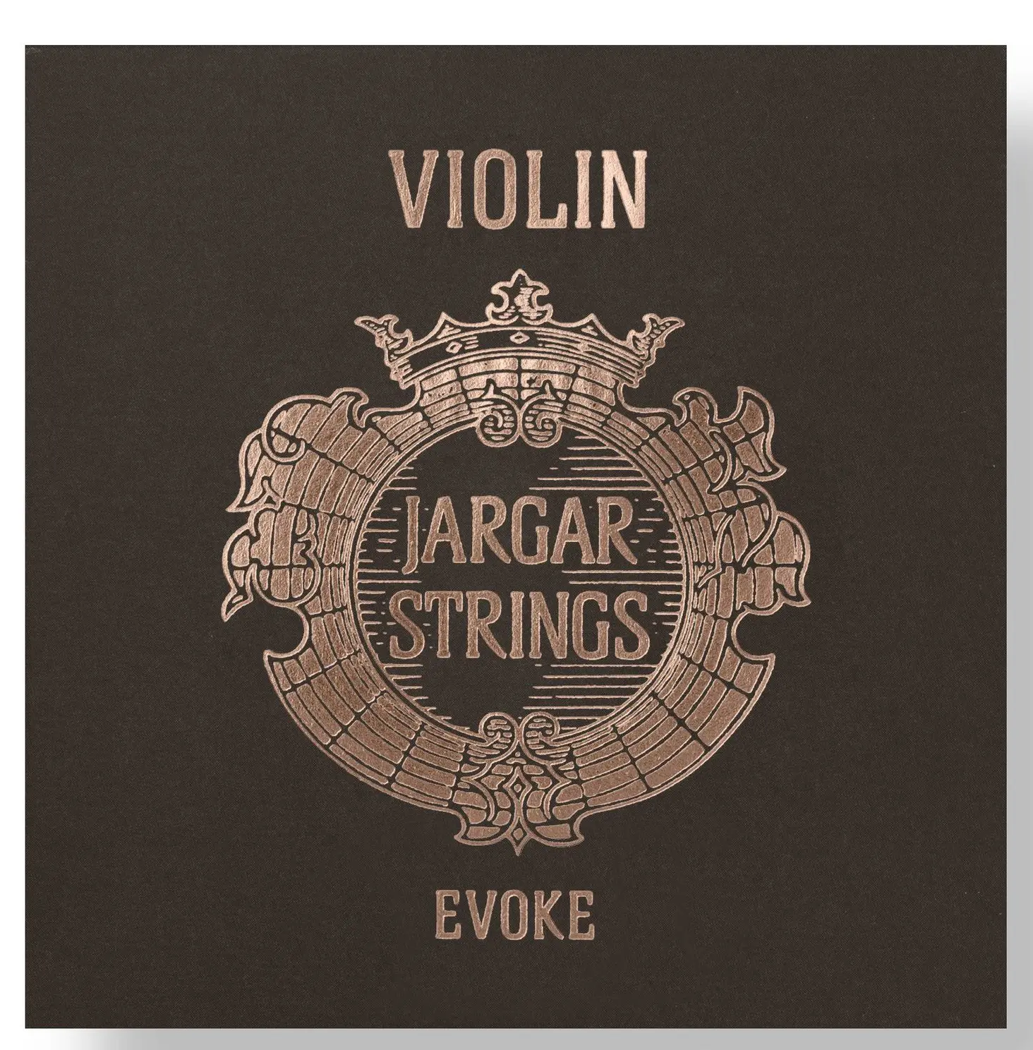 Jargar Violin Evoke Blue Set
