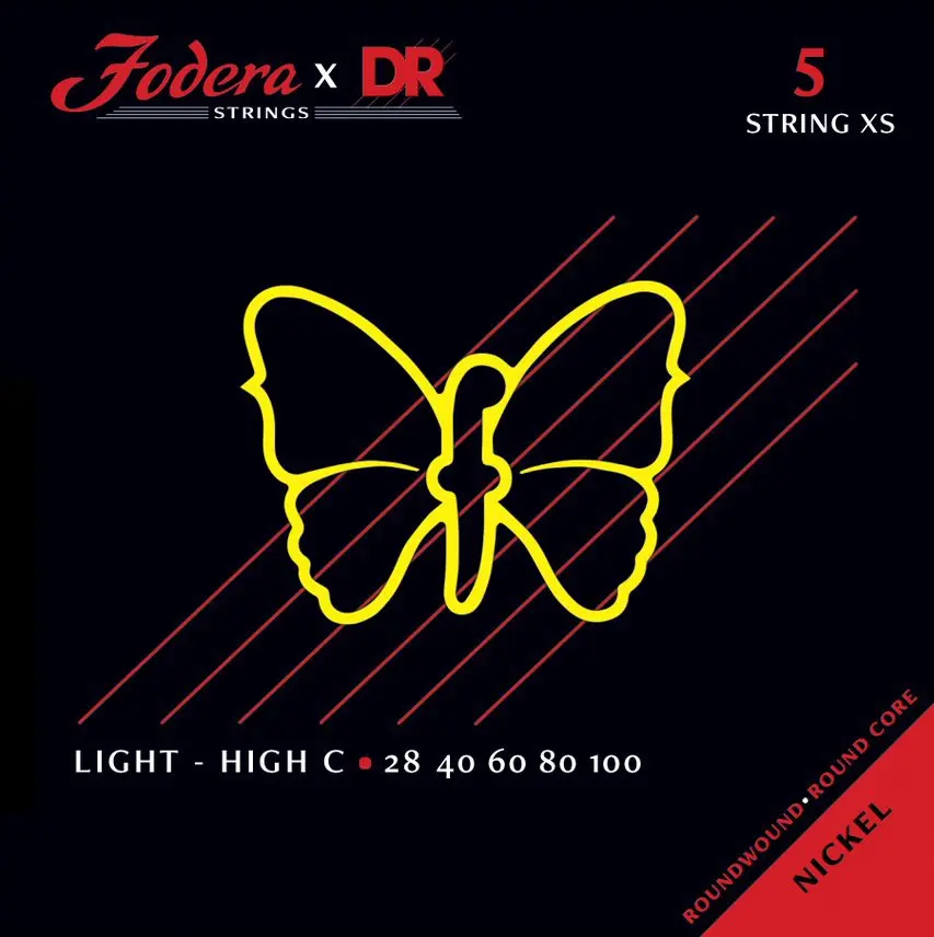 DR Strings Fodera Stainless Steel 5 Light XS High C 28100