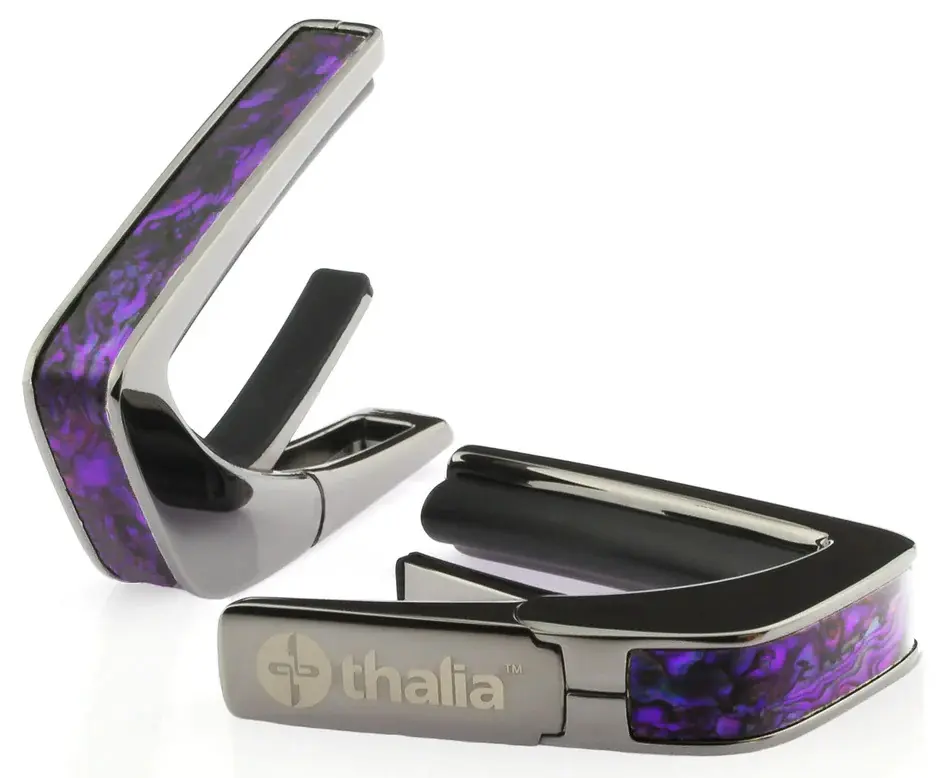 Thalia Shell Collection Purple Paua Black Chrome