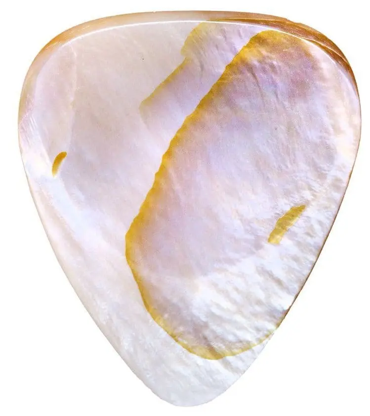 Timber Tones Shell Tones Mussel Shell