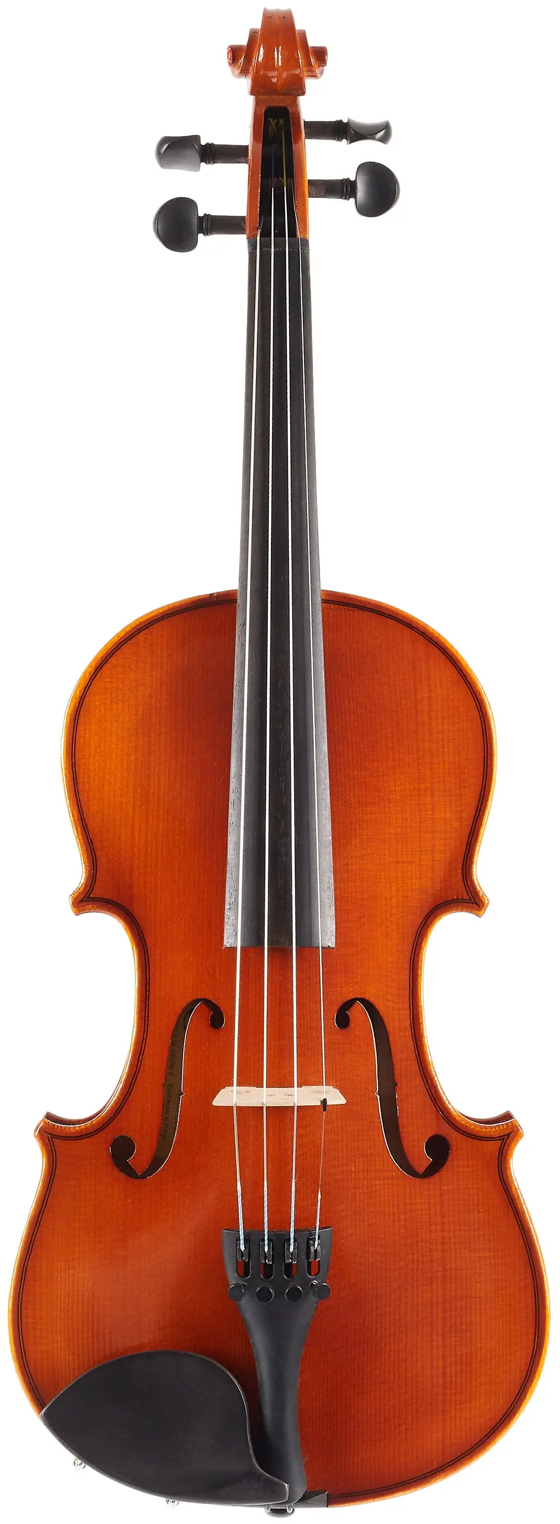 Eastman Samuel Eastman Violin 4/4 VL50SBC