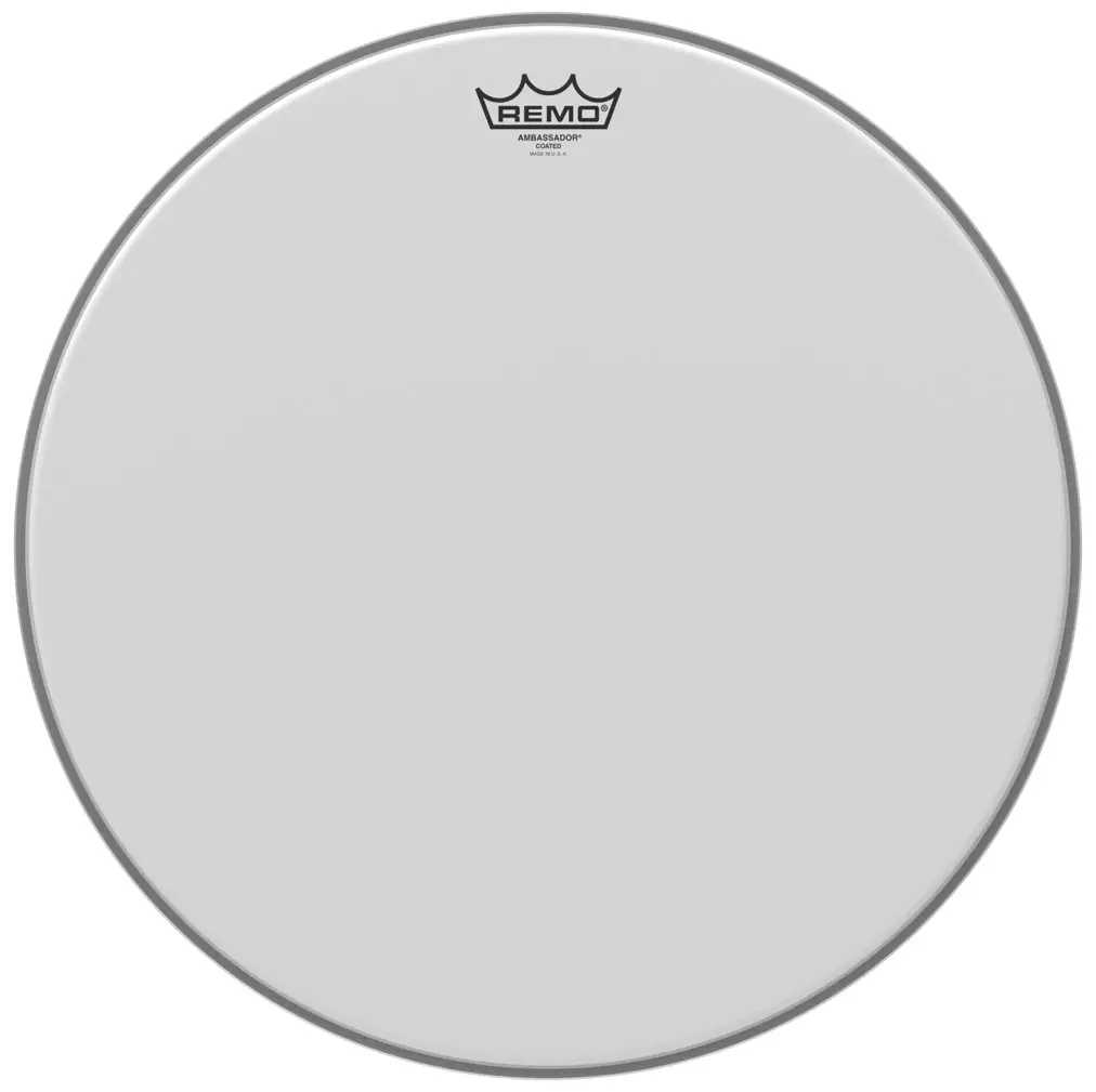 Remo 18" Ambassador Coated