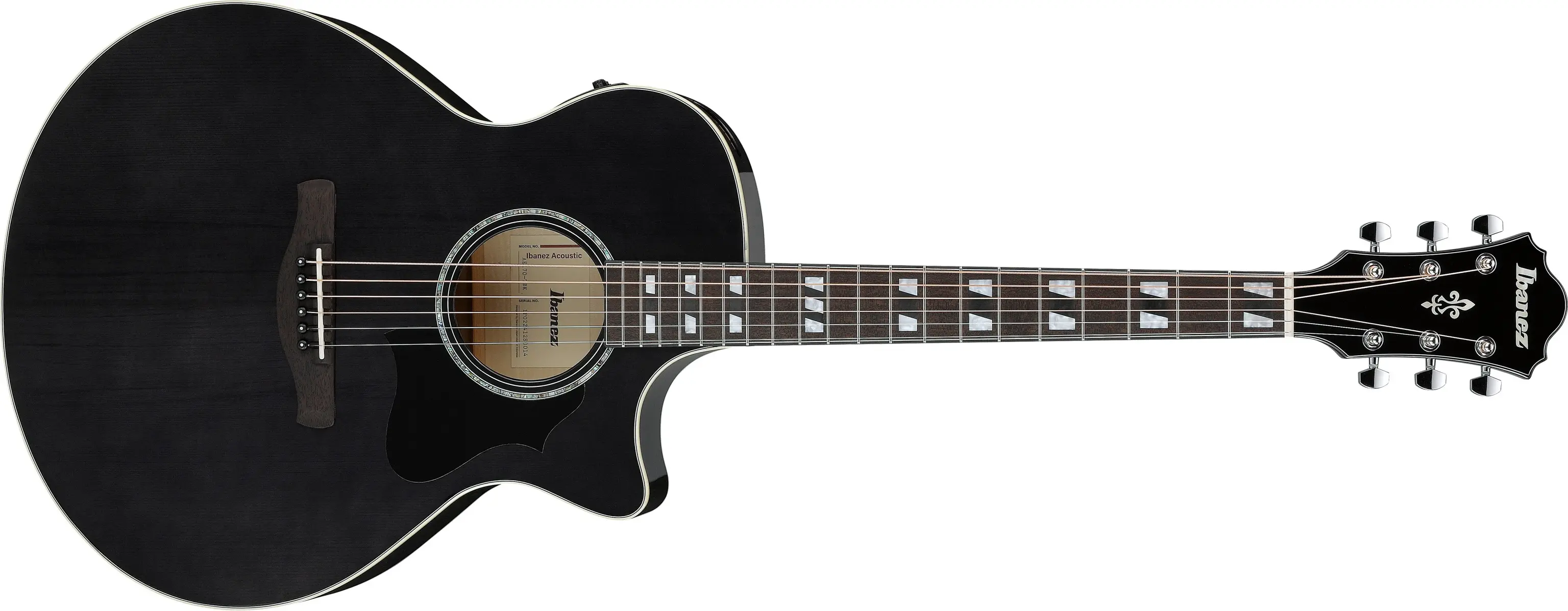 Ibanez AE170-TBK