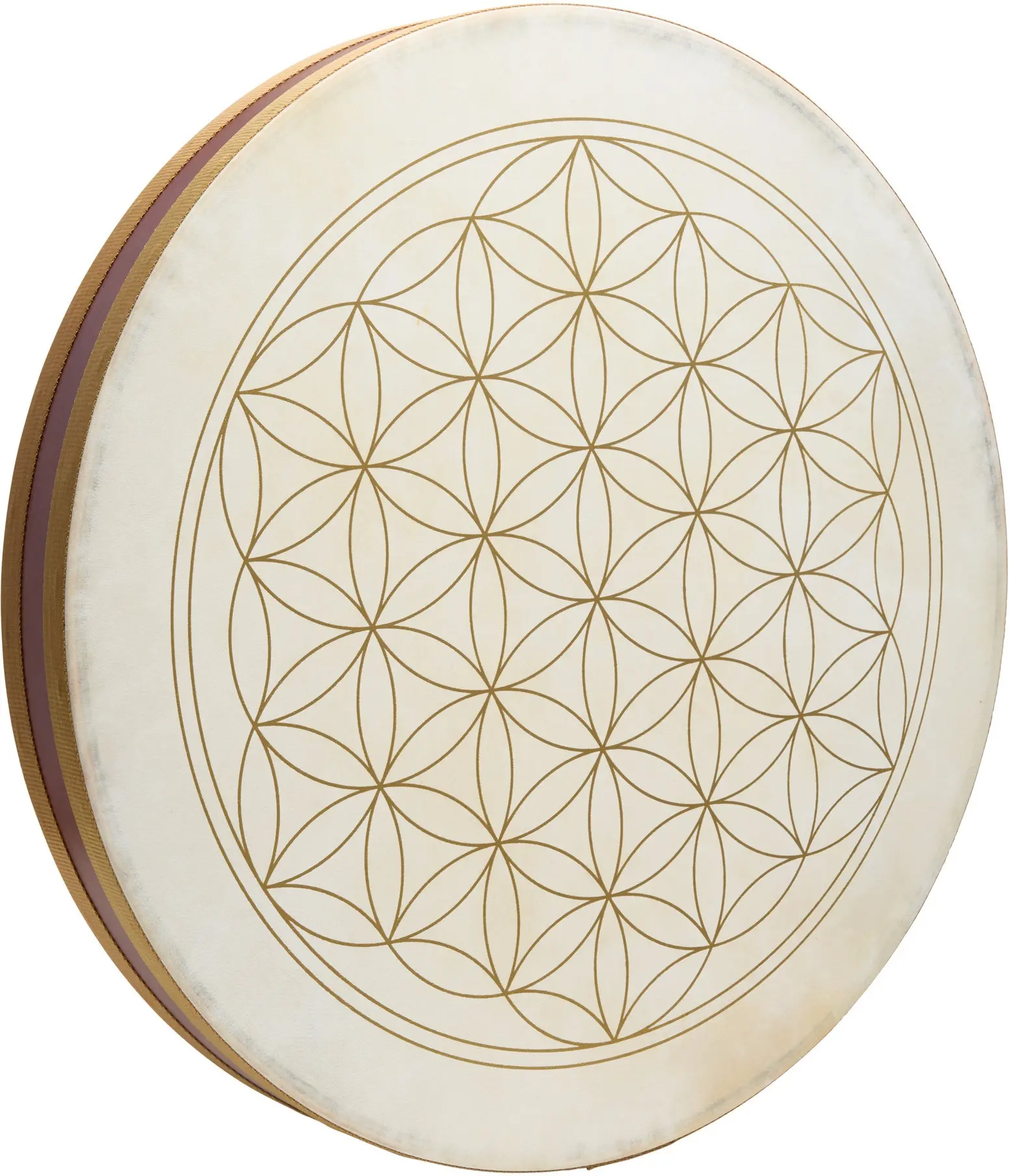 Meinl Sonic Energy WD22FOL