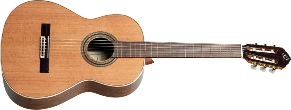 Ortega R20GSNWN